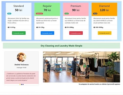 Realizare website spalatorie